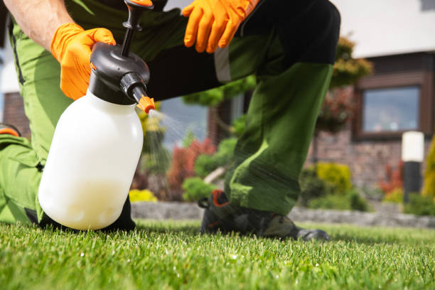 Best Indoor Pest Control  in Rolling Hills, CA